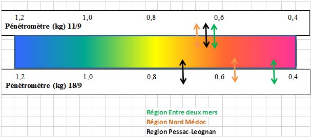 IPP18092023