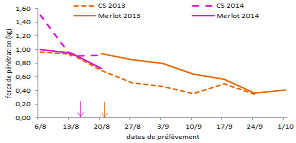 penetro libournais 18082014