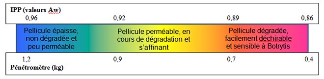 ipp valeur