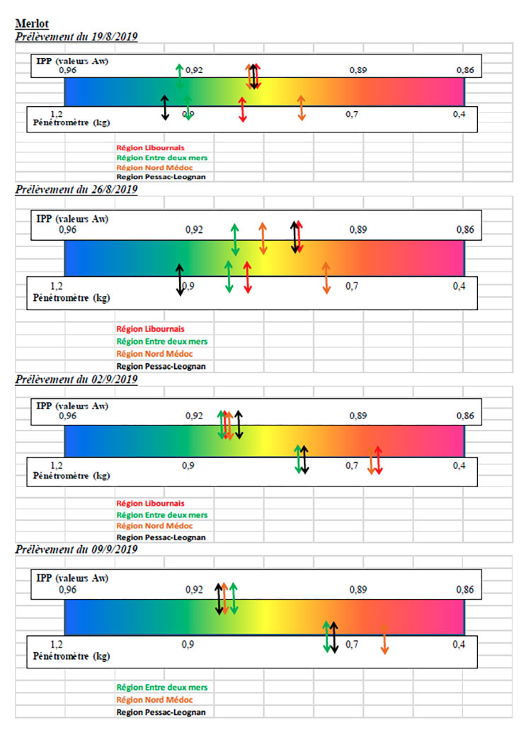 1ppM09092019