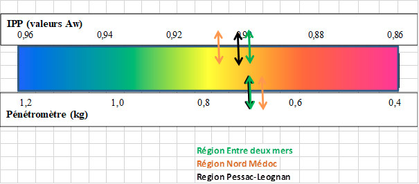 ipp CS 29082022