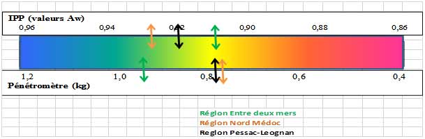 ipp CS16082022