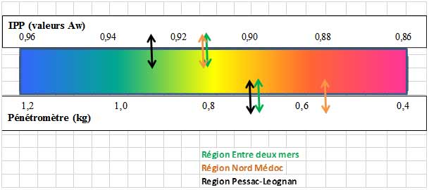 ipp CS22082022