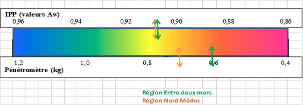 ippM05092022