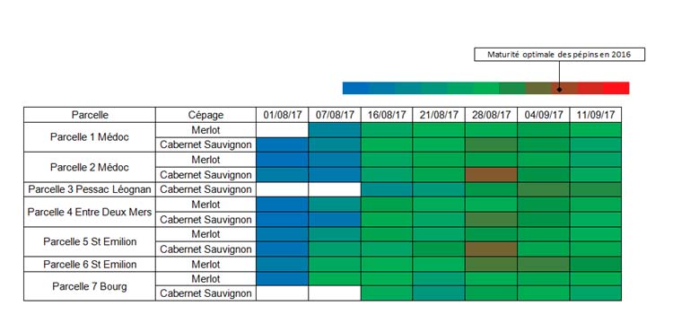 t1scanpep03092018