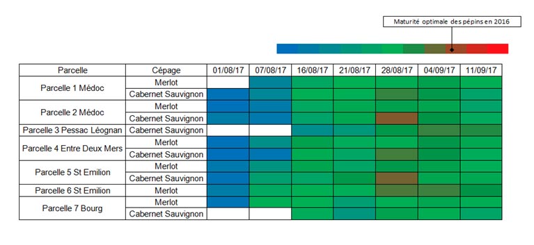 t1scanpep10092018