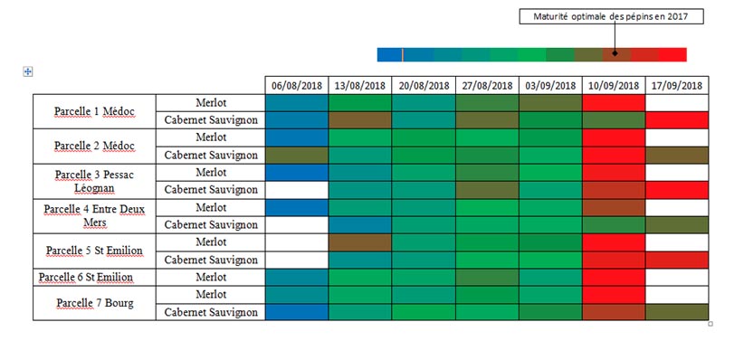 t1scanpep17092018