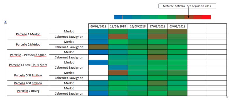 t2scanpep03092018