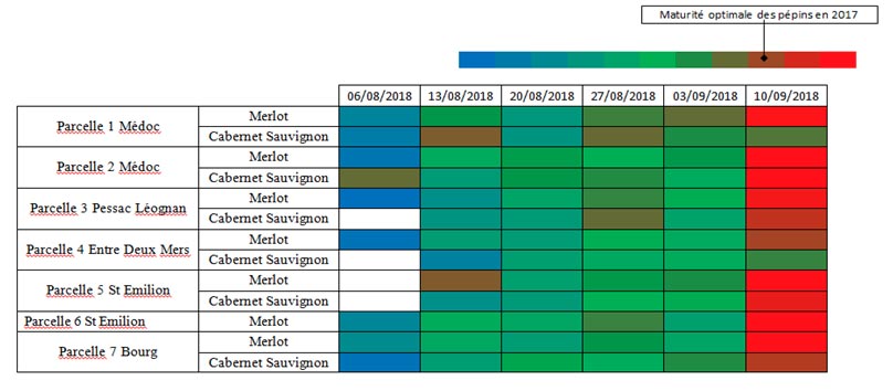 t2scanpep10092018