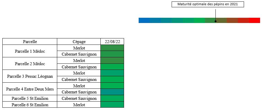 scanpep 22082022